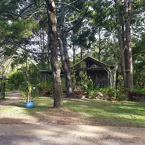 Resort Rainforest, Byron Bay